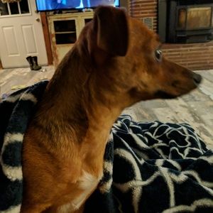 Meet your Posher, Marci